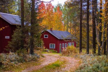 Indian Summer in Lappland - Aktivurlaub im herbstlichen Lappland