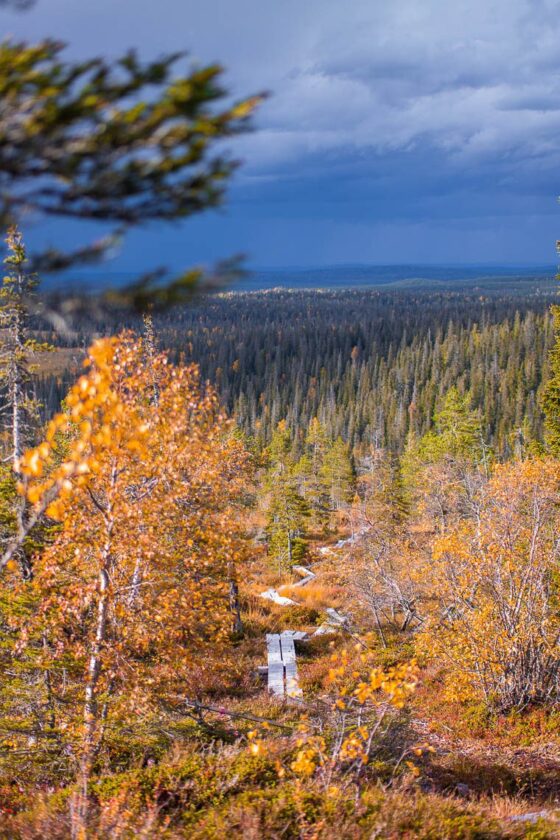 Indian Summer in Lappland - Aktivurlaub im herbstlichen Lappland - Riisitunturni Nationalpark