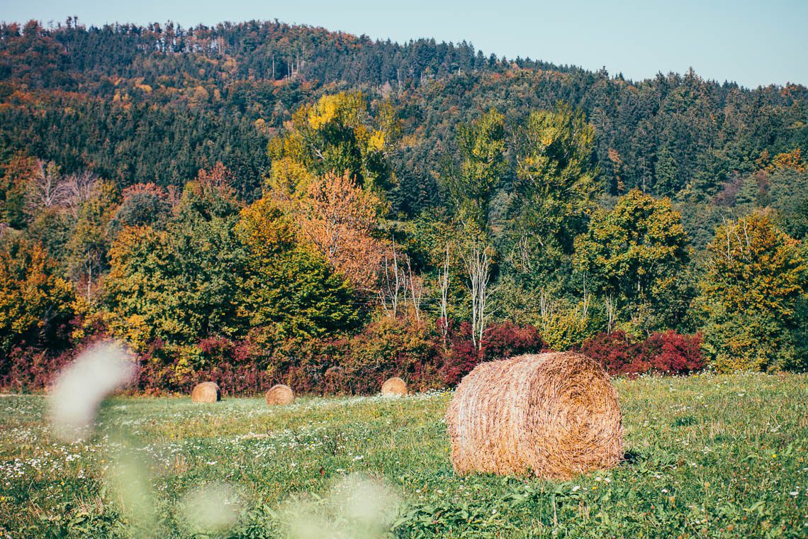 Wanderparadies Grüner Karst Ausflugsziele & Tipps für Sloweniens Süden 