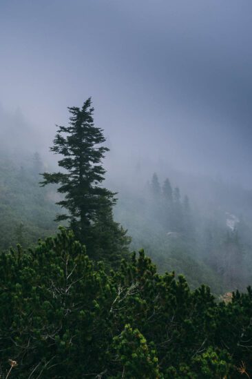 Wanderparadies Grüner Karst Ausflugsziele & Tipps für Sloweniens Süden