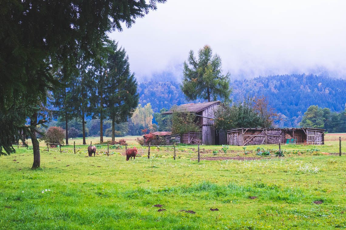 Wanderparadies Grüner Karst Ausflugsziele & Tipps für Sloweniens Süden