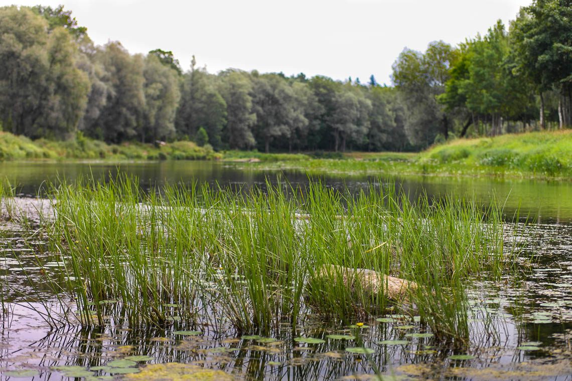 Roadtrip Lettland & Estland Auf den Spuren vergessener Hansestädte