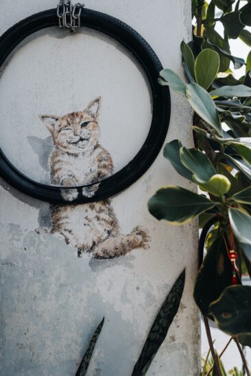 George Town Tipps: Street Art