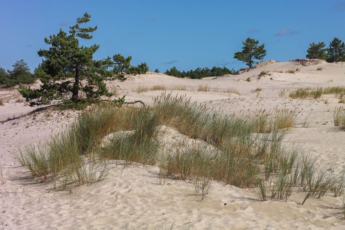Slowinski Nationalpark in Polen