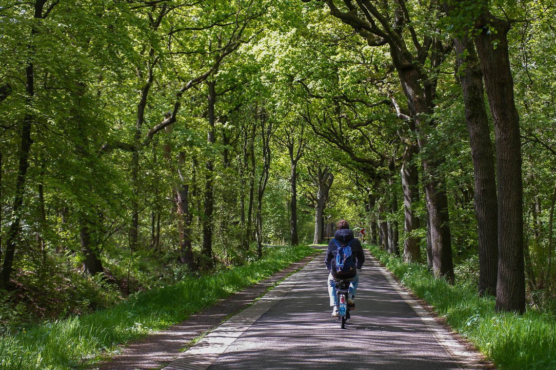 Besondere Ausflugsziele in Friesland: Solex-Tour ums Slotermeer