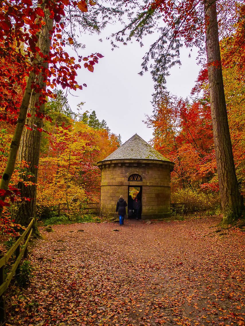 Herbstwandern in Schottland - Braan Walk @ The Hermitage, Dunkeld