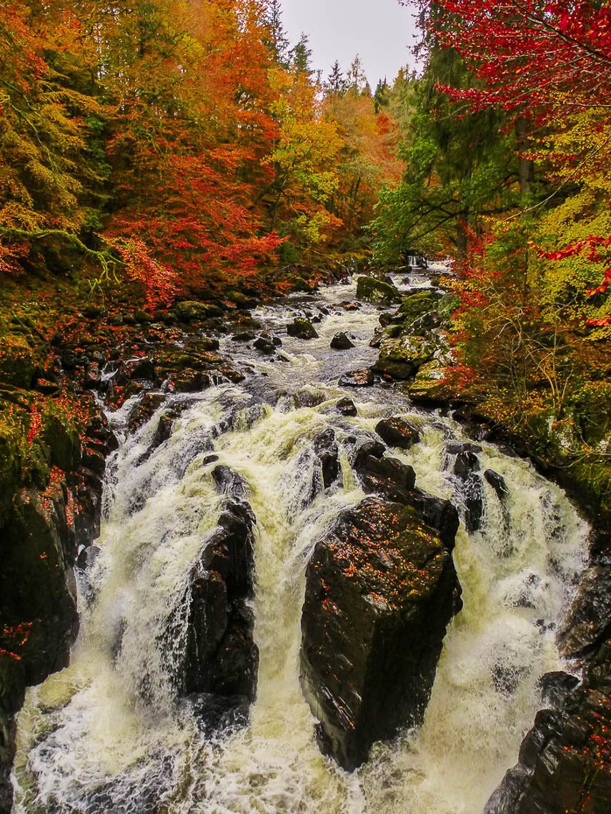 Herbstwandern in Schottland - Braan Walk @ The Hermitage, Dunkeld