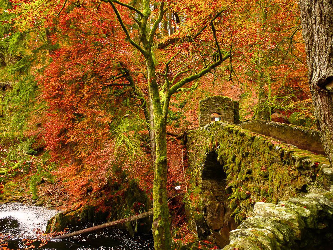 Herbstwandern in Schottland - Braan Walk @ The Hermitage, Dunkeld