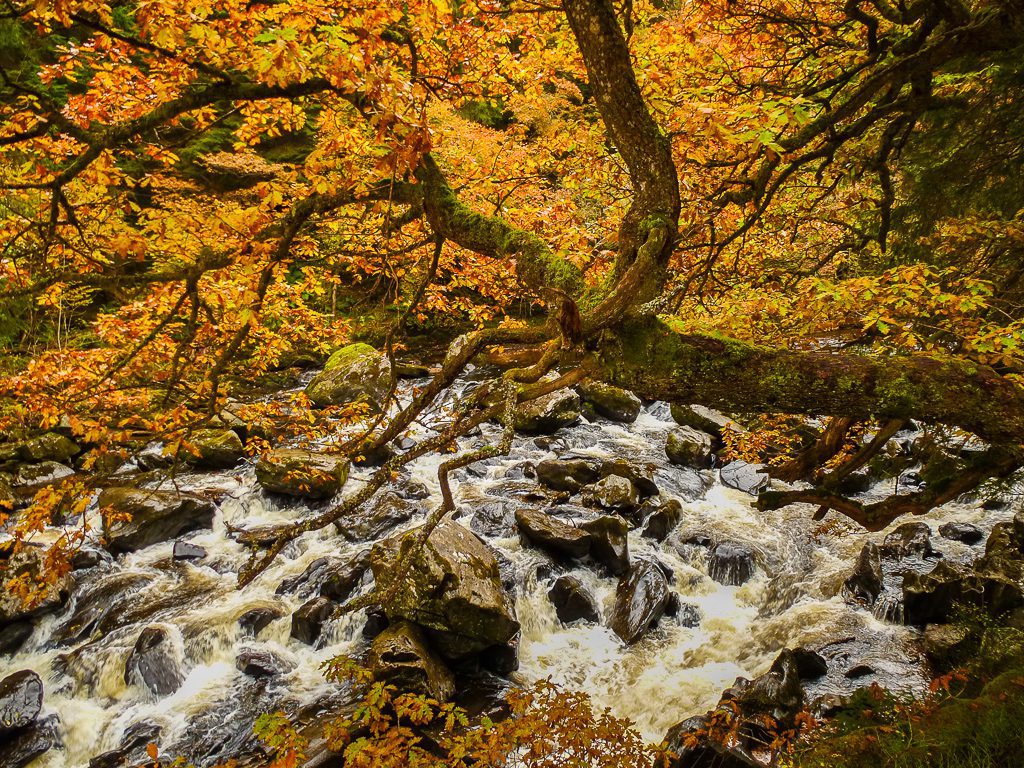 9 Tipps gegen den Herbst-Blues: meine Herbst Bucket List