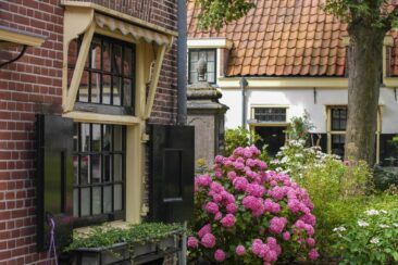 Haarlemmer Hofjes