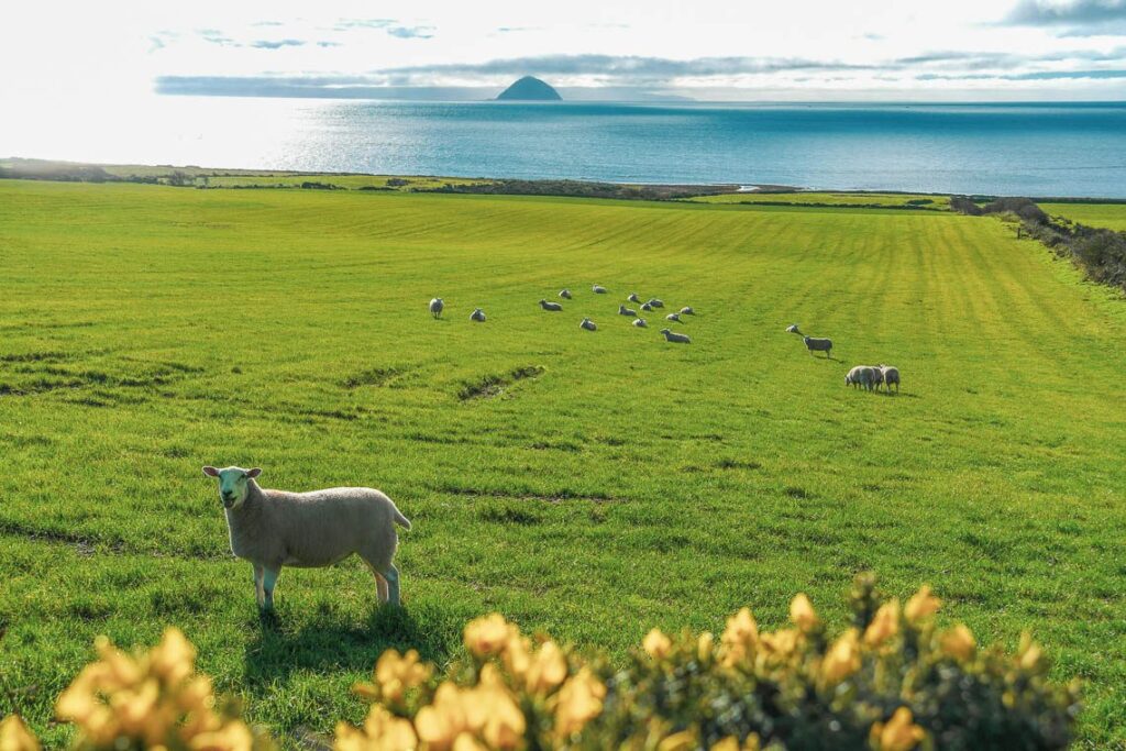 Isle of Arran: Sehenswürdigkeiten & Tipps für das Miniatur-Schottland