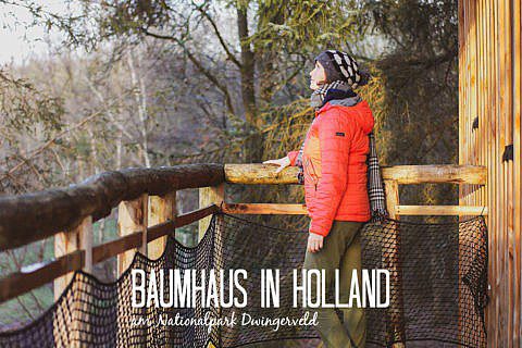 Baumhaus in Drenthe - Naturhäuschen in Holland