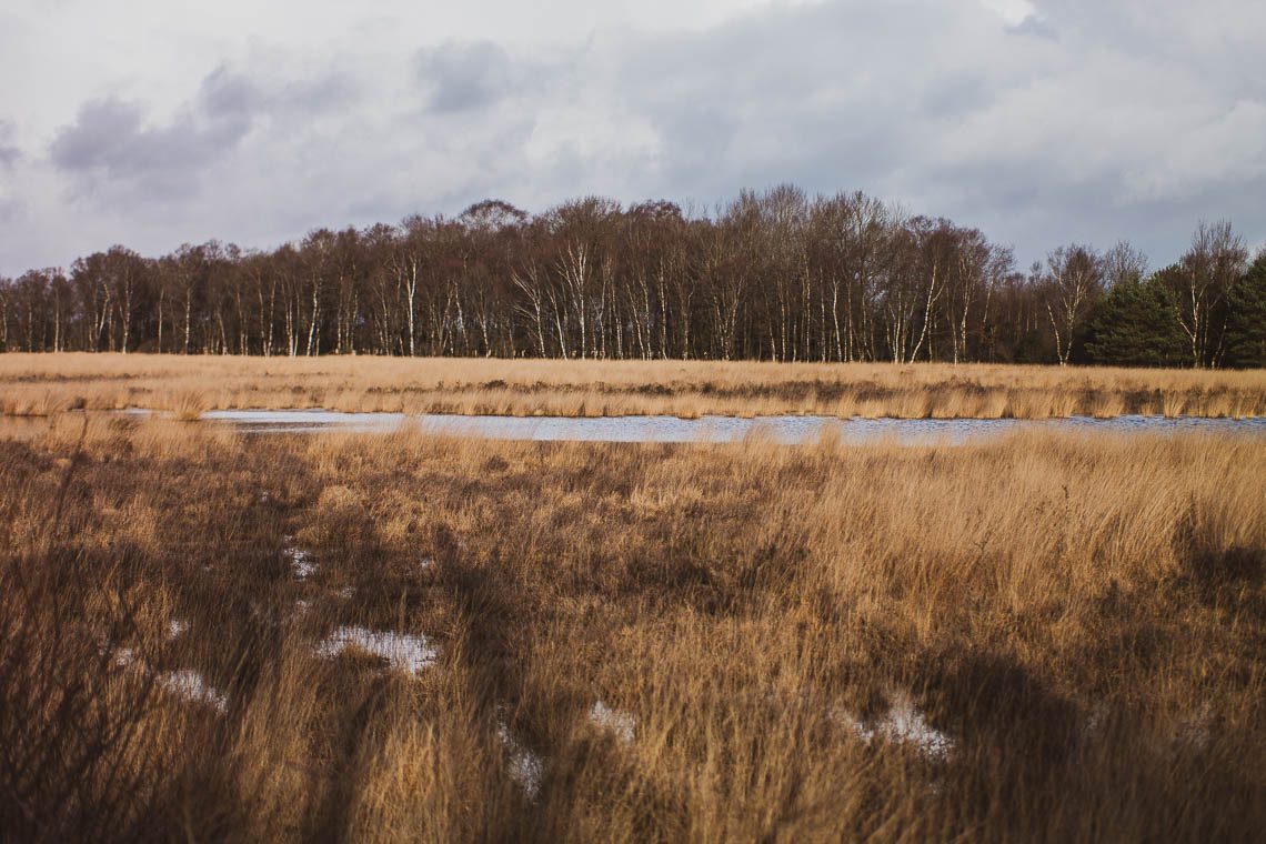 Nationalpark Dwingerveld