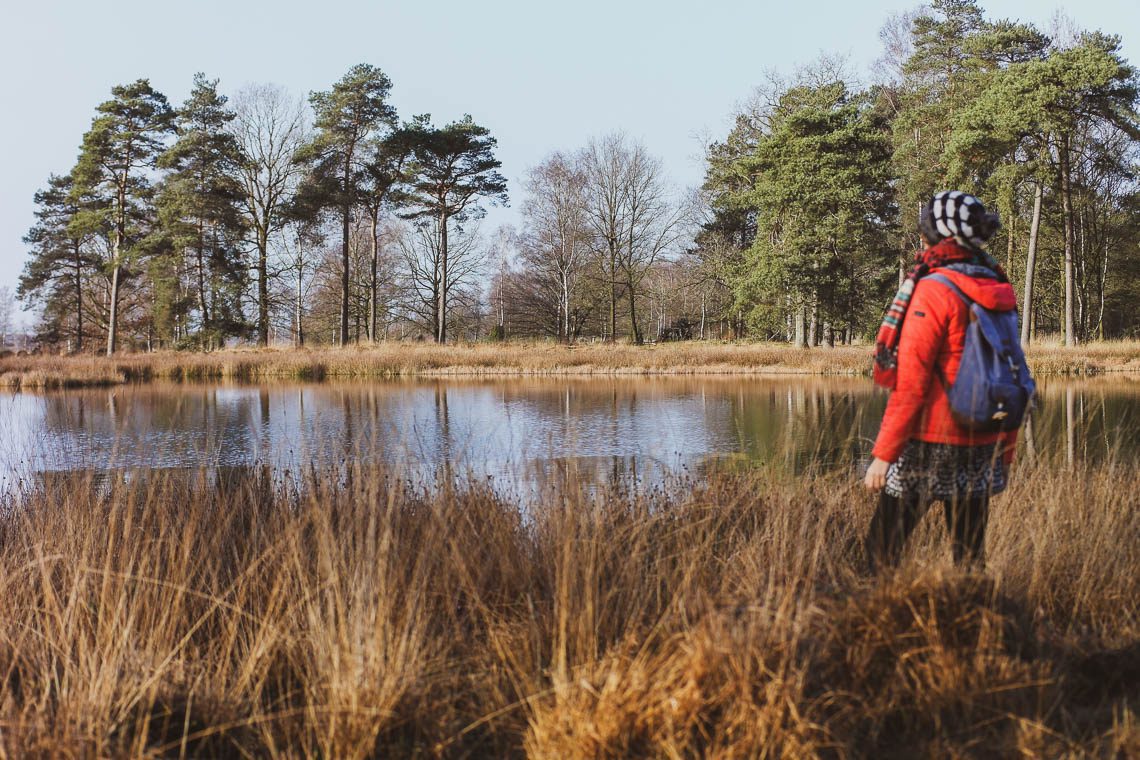Nationalpark Dwingerveld
