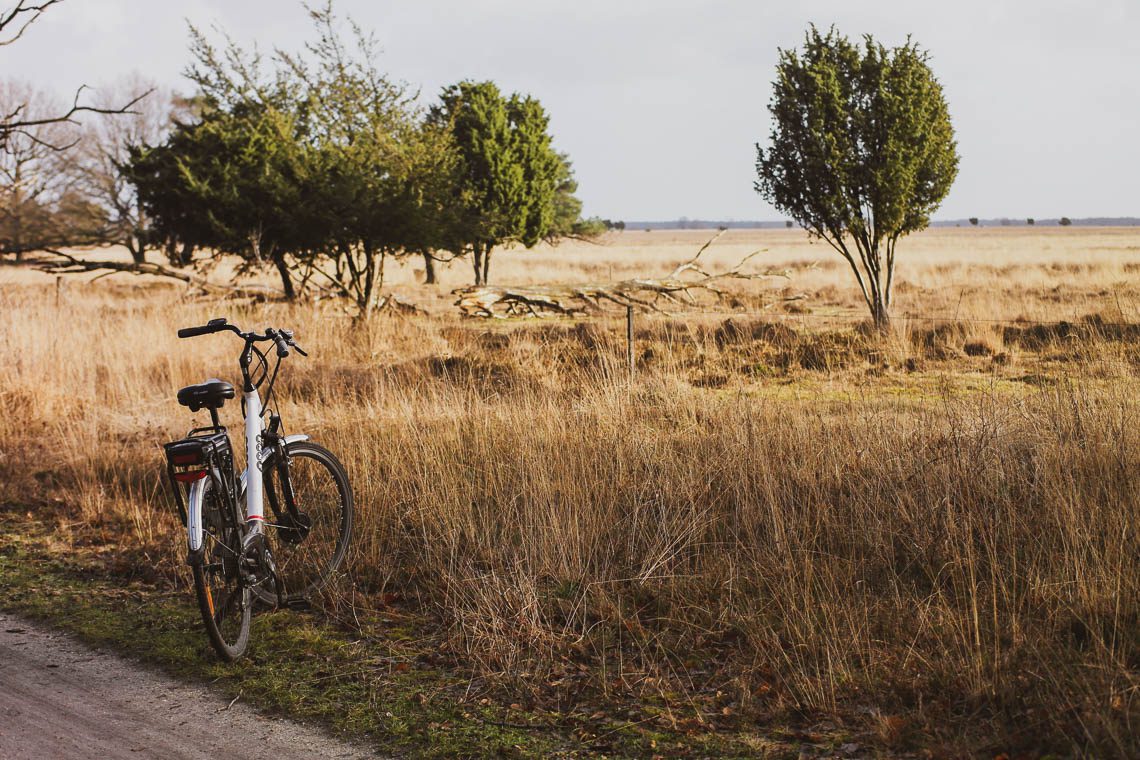 Radtour im Dwingerveld Nationalpark