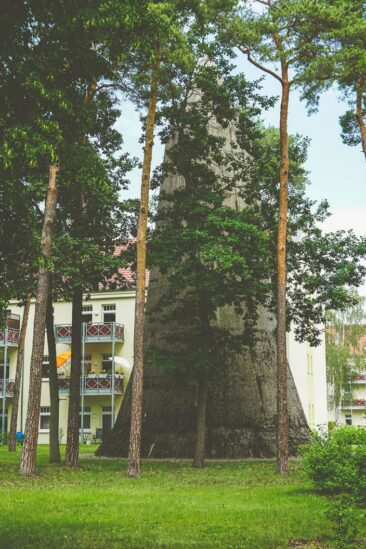 Spitzbunker Wünsdorf