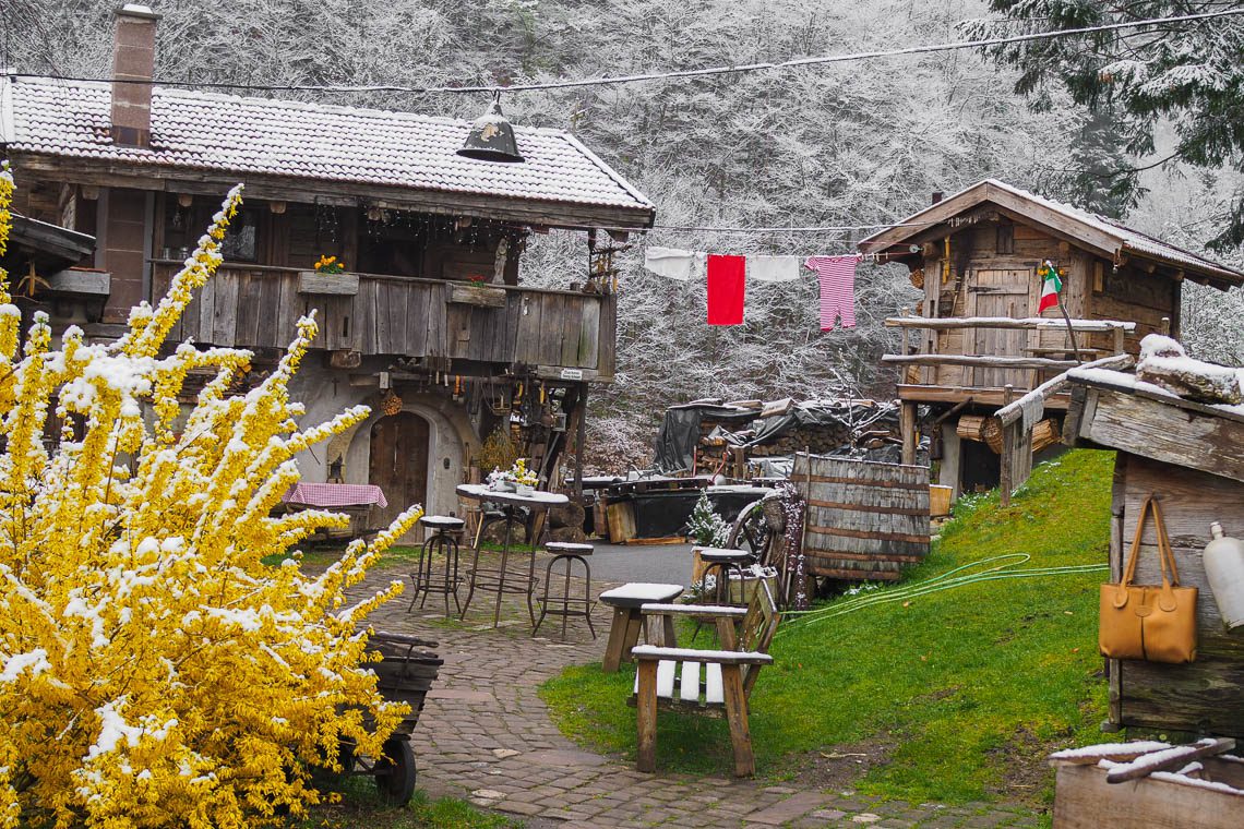 Bader Alm - Baden auf der Alm im Schwarzwald