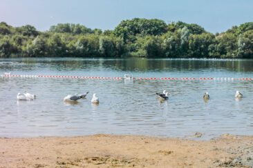 Het Wed, schönster Badesee bei Haarlem