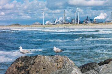 Die schönsten Strände rund um Haarlem - Noordpier