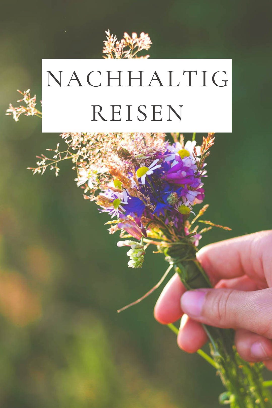 Nachhaltig Reisen paradise-found.de