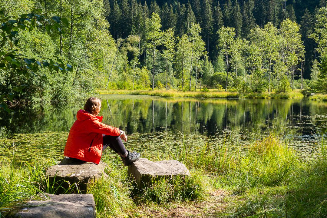 Trekking im Schwarzwald