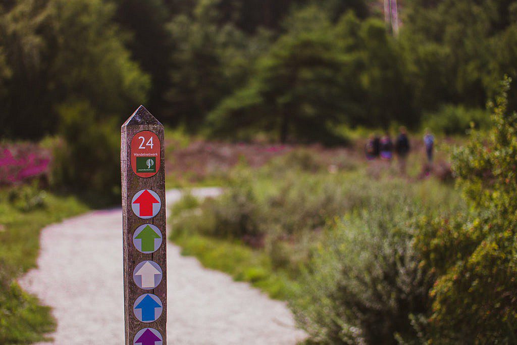 Wanderungen in Schoorl