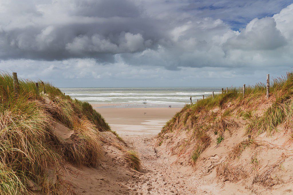 Die abwechslungsreichste Heidewanderung in Holland