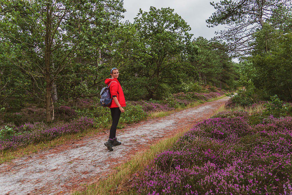 Die abwechslungsreichste Heidewanderung in Holland