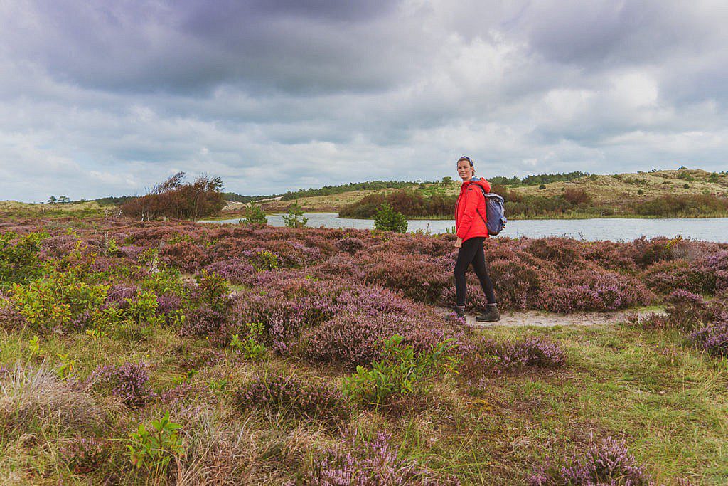 Heidewanderung in Schoorl