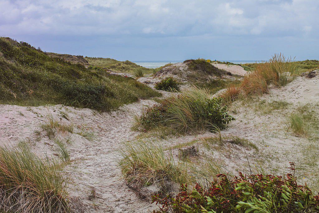 Die abwechslungsreichste Heidewanderung in Holland