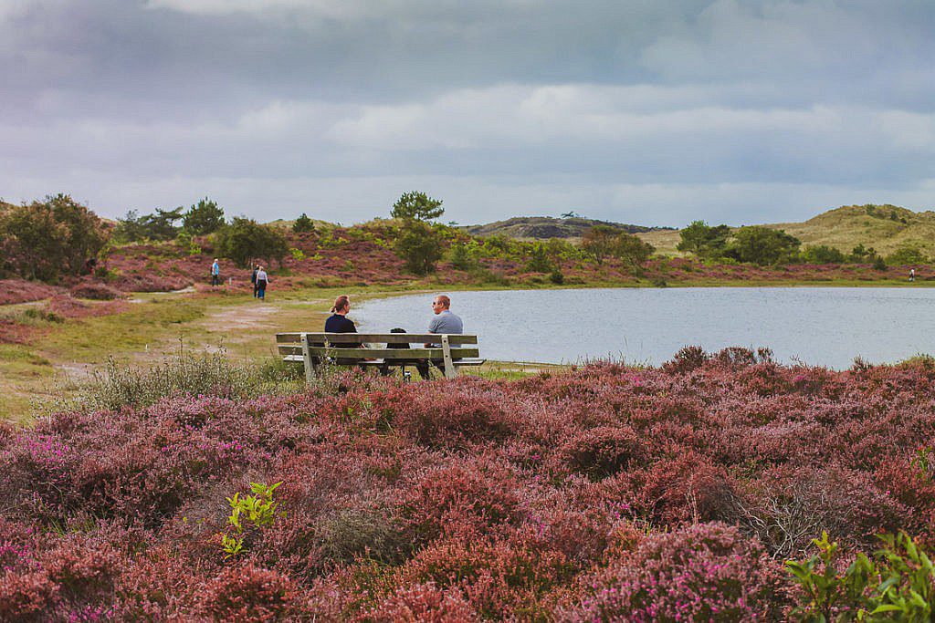 Heidewanderung in Schoorl