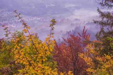 Traufgang Felsenmeersteig