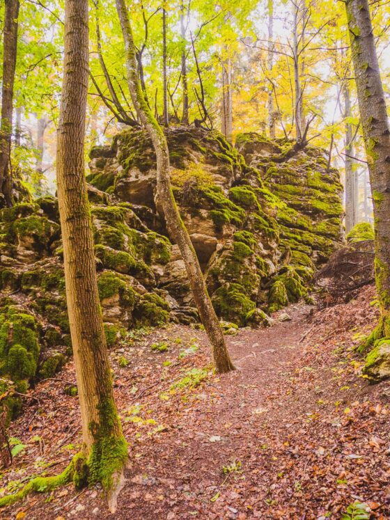 Traufgang Felsenmeersteig - Felsenmeer Schwäbische Alb