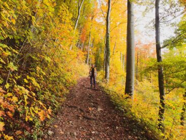 Traufgang Felsenmeersteig Schwäbische Alb