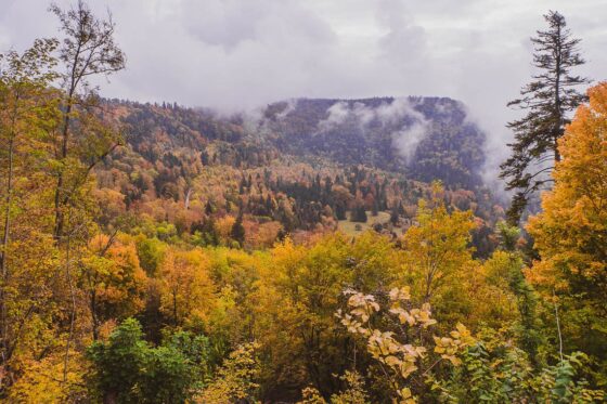 Traufgang Felsenmeersteig Schwäbische Alb