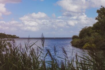 Kabbelaarsbank - Wandern in Zeeland