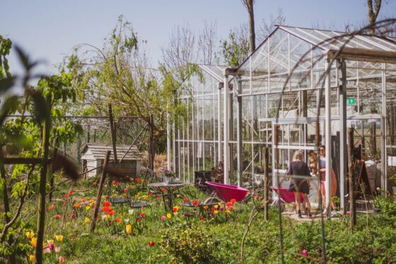 Hanneke's Pluktuin