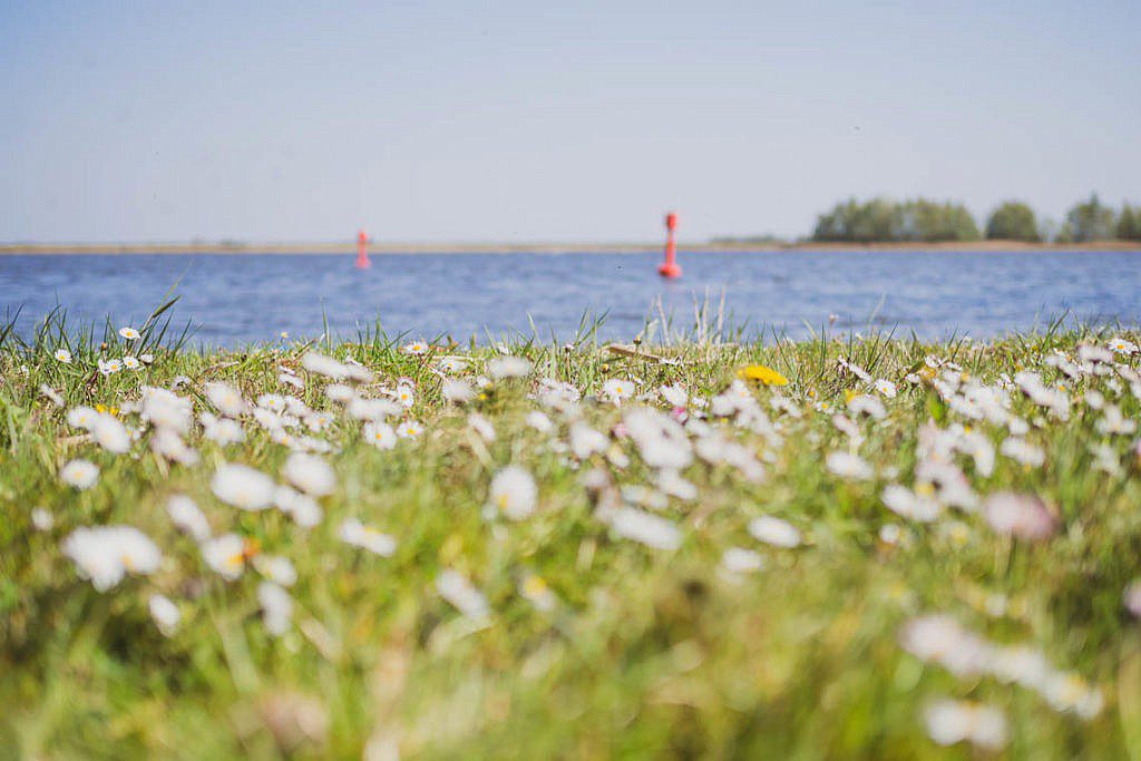 Tulpenroute Flevoland - Radtour ab Elburg