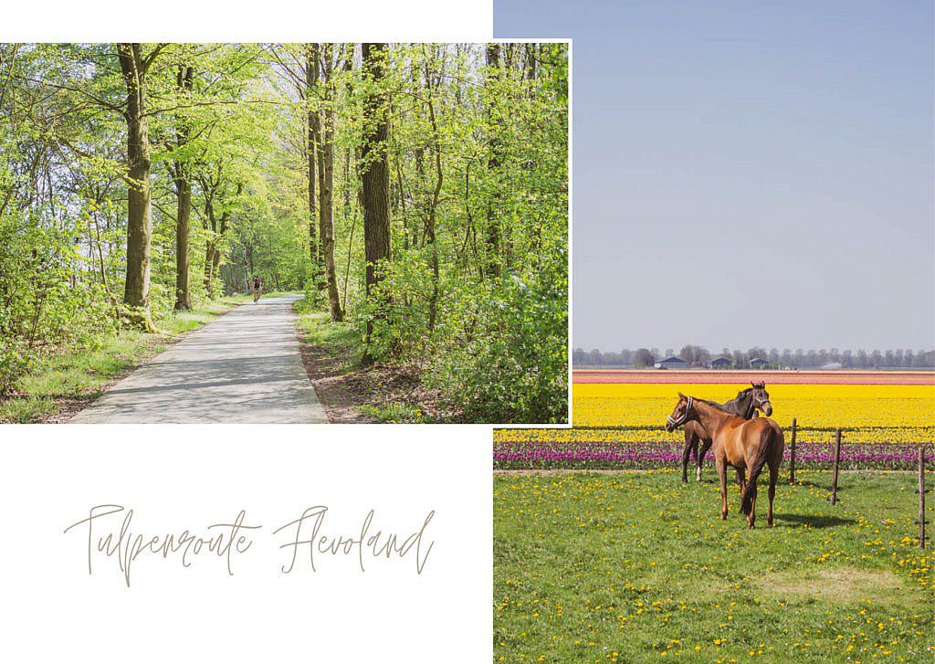 Tulpenroute Flevoland - Ausflugsziele Elburg
