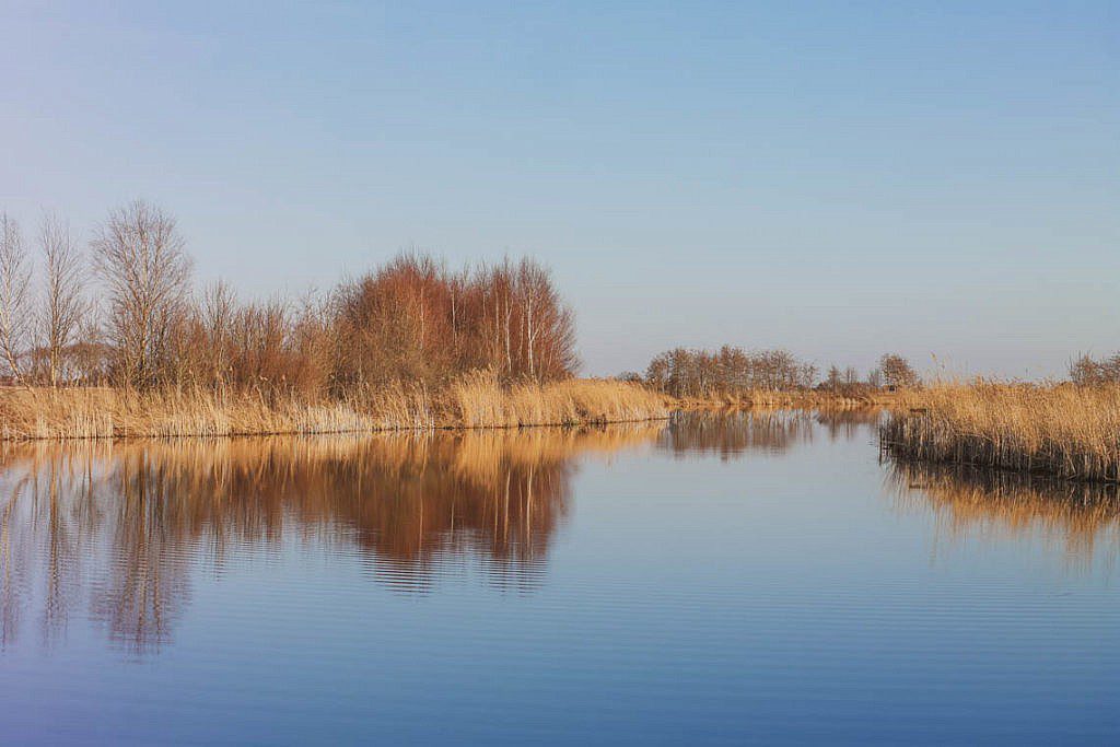 Mikroabenteuer Floßurlaub in der Wildnis bei Amsterdam