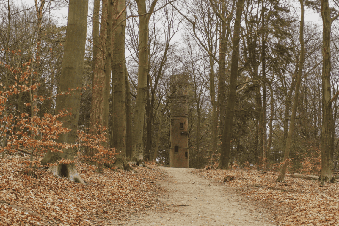 Lochemse Berg