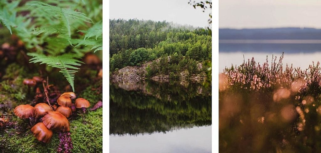 Kanutour Schweden Natur Dalsland Värmland