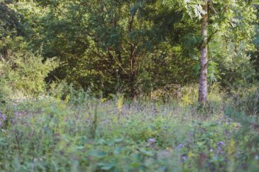 Trekking-Camps im Odenwald