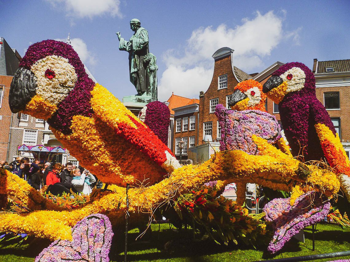Tulpenblüte in Holland - Bloemencorso (1)