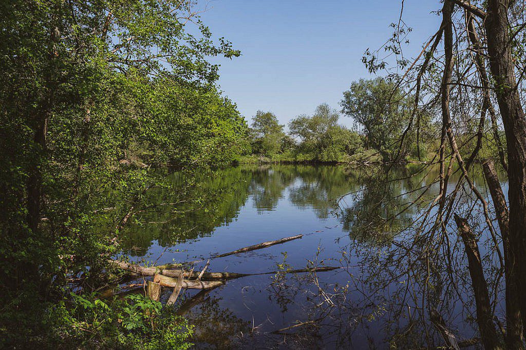 Moringerwaarden Gouden Ham Wanderung