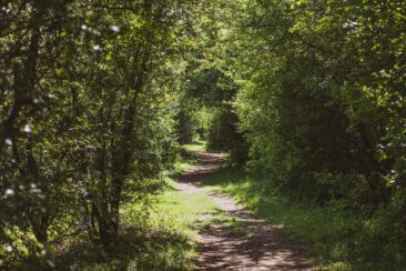 Moringerwaarden Gouden Ham Wanderung