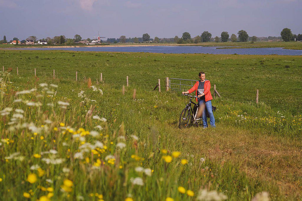 Radfahren im Rivierenland