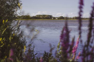 Mikroabenteuer Packrafting Biesbosch