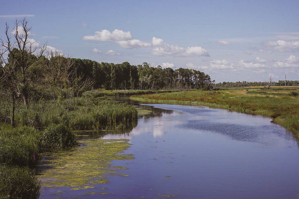 Mikroabenteuer Packrafting Biesbosch