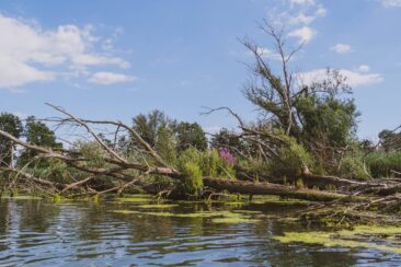 Mikroabenteuer Packrafting Biesbosch